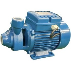 پمپ یک اسب محیطی ردسان مدل nx80